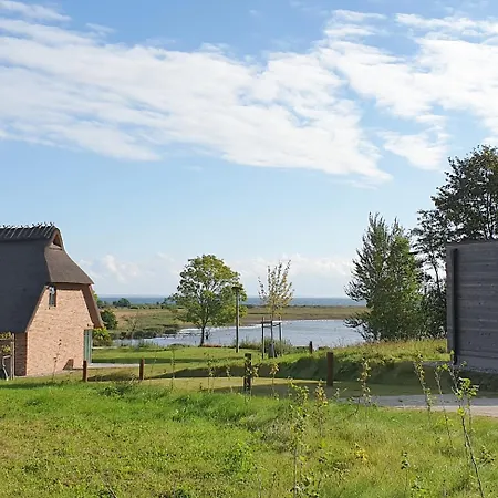 Reetdorf Geltinger Birk Kuenstlerkate Reiherente *